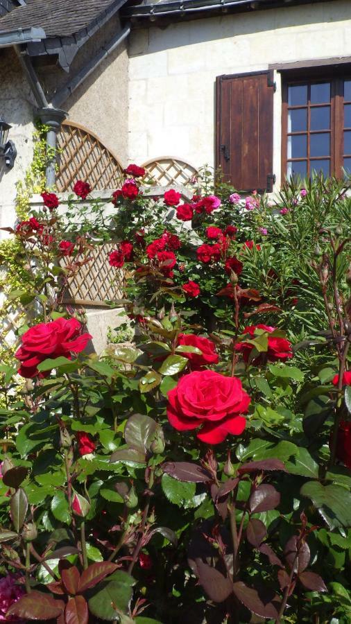 Le Manoir De La Baldette Bed and Breakfast Gennes-Val-de-Loire Εξωτερικό φωτογραφία